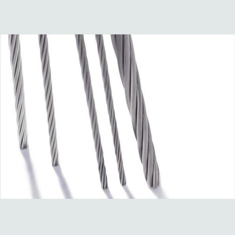 HQ HW02 SS316 marine grade sta - Stainless Wire Ss316 reseña y precio